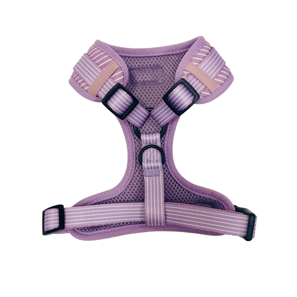 Pinstripe in Lilac Fully Adjustable Harness
