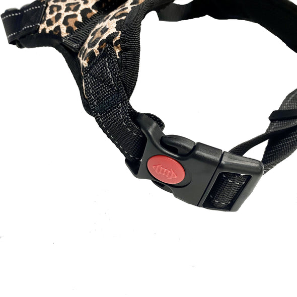 Easywalk Harness - Wild At Heart