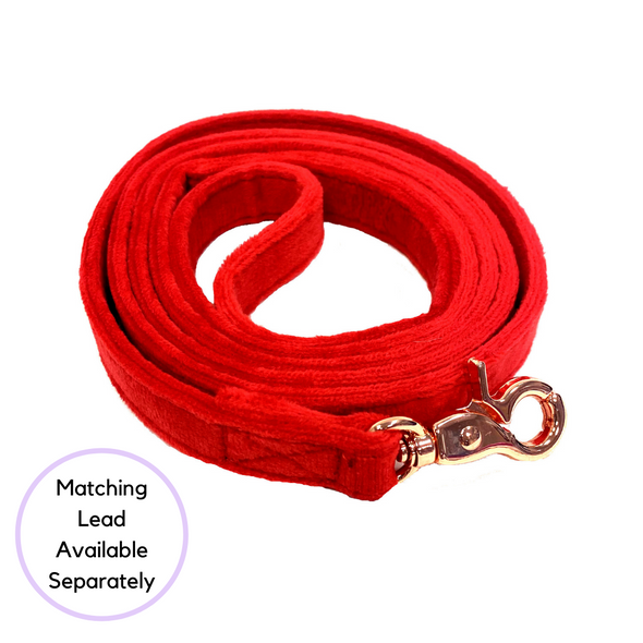 Velour Collar - Ruby Red