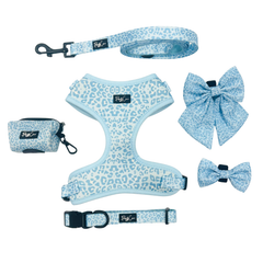 Collection image for: Sky Leopard