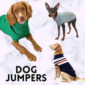 Dog Jumpers