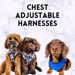 Chest Adjustable Harnesses