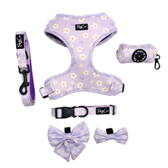 Collection image for: Lilac Blooms Collection