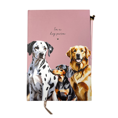 Collection image for: Home