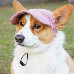 Collection image for: Hats
