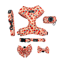 Collection image for: Strawberries & Cream Collection