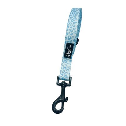 Sky Leopard Lead