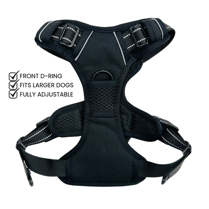 Black Go Explore Lite Harness