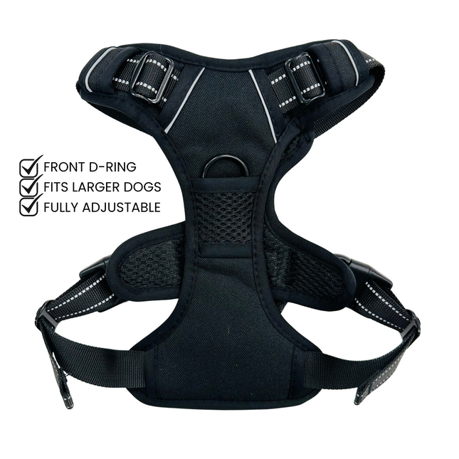Black Go Explore Lite Harness