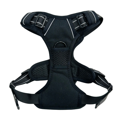 Black Go Explore Lite Harness