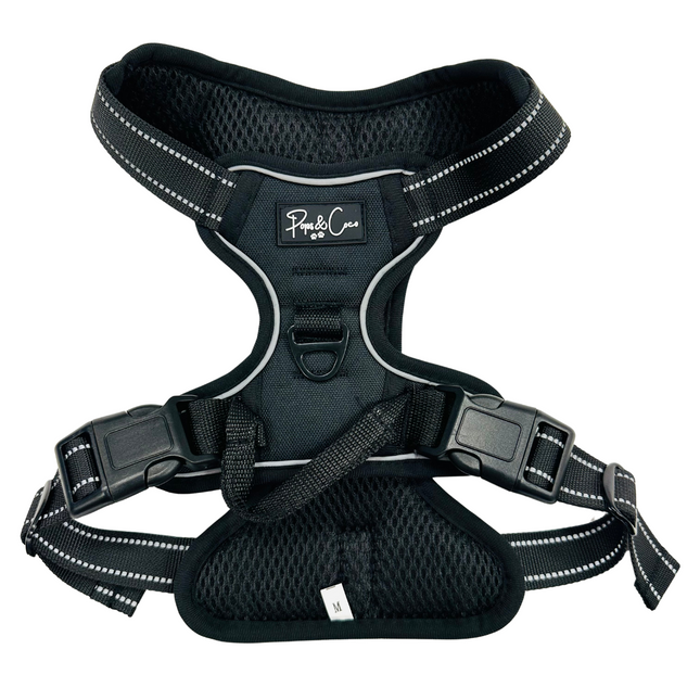 Black Go Explore Lite Harness