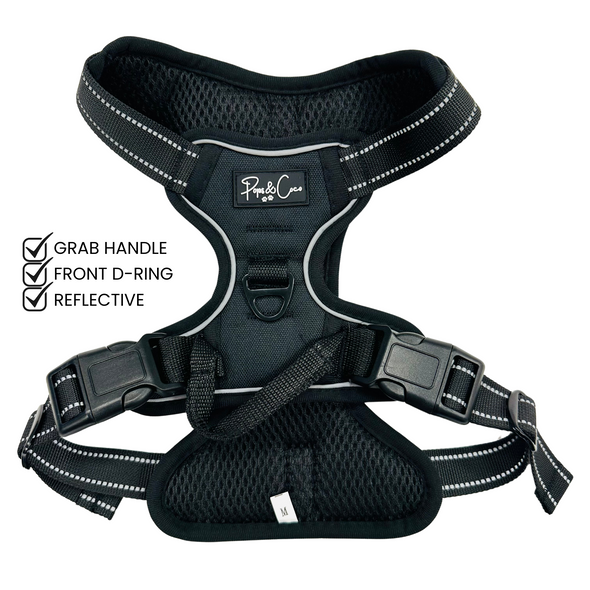 Black Go Explore Lite Harness