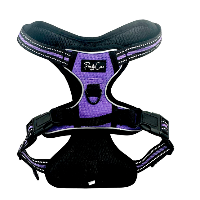 Purple Go Explore Lite Harness