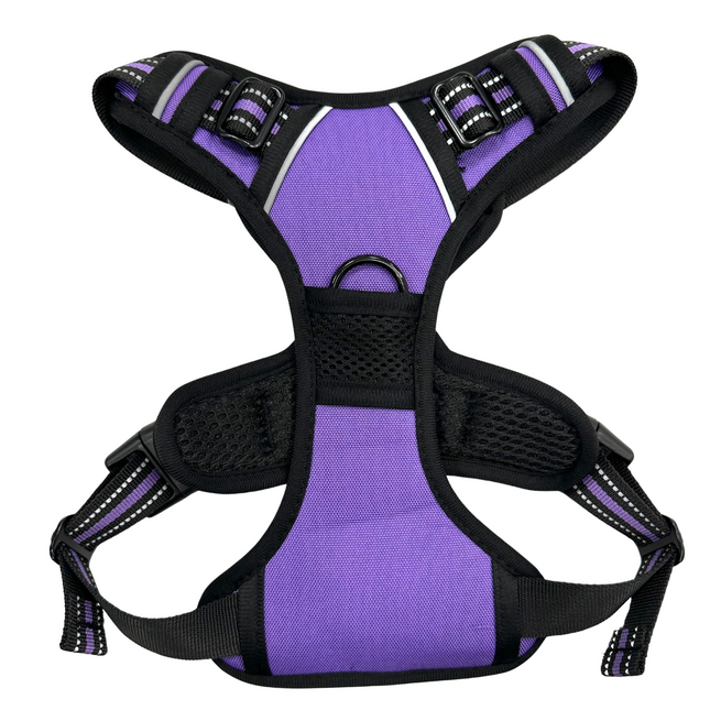 Purple Go Explore Lite Harness