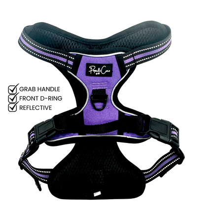 Purple Go Explore Lite Harness