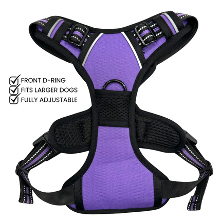 Purple Go Explore Lite Harness