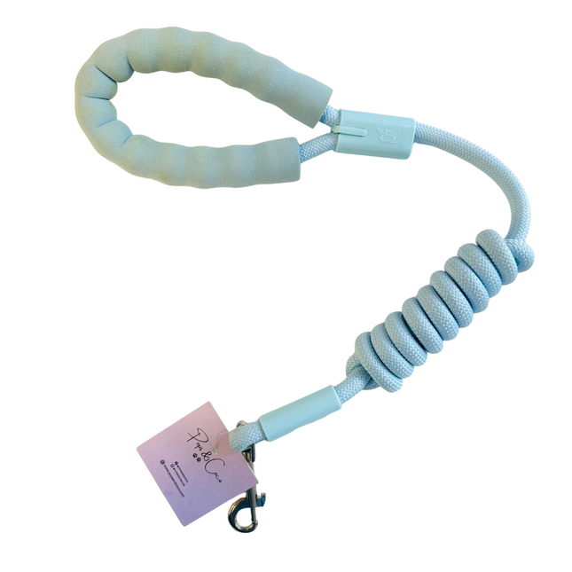 STAINED FOAM HANDLE (1) Nylon Rope Lead - Pastel Blue (1)