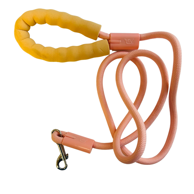 STAINED FOAM HANDLE (6) Nylon Rope Lead - Pastel Peach (6)