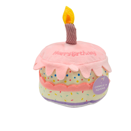 Birthday Cake Toy