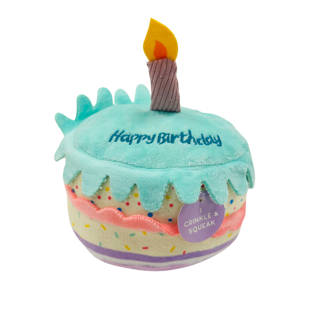 Birthday Cake Toy Turquoise