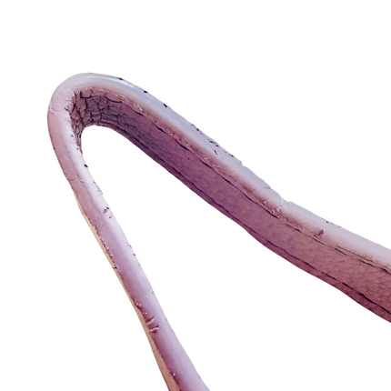 FINISHING ISSUES - Faux Leather Collar - Lilac