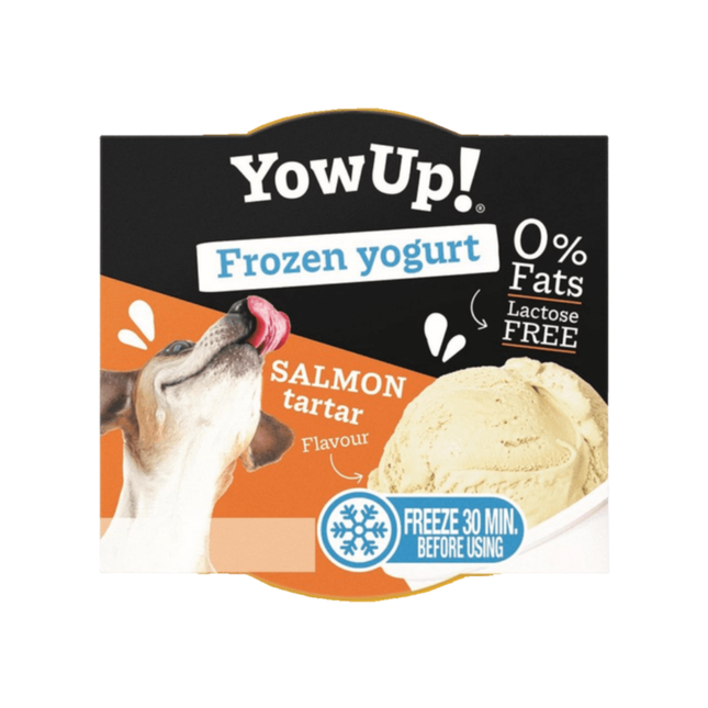 YOWUP! Frozen Yogurt Salmon