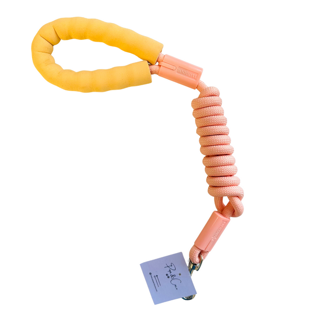 STAINED FOAM HANDLE (5) Nylon Rope Lead - Pastel Peach (5)