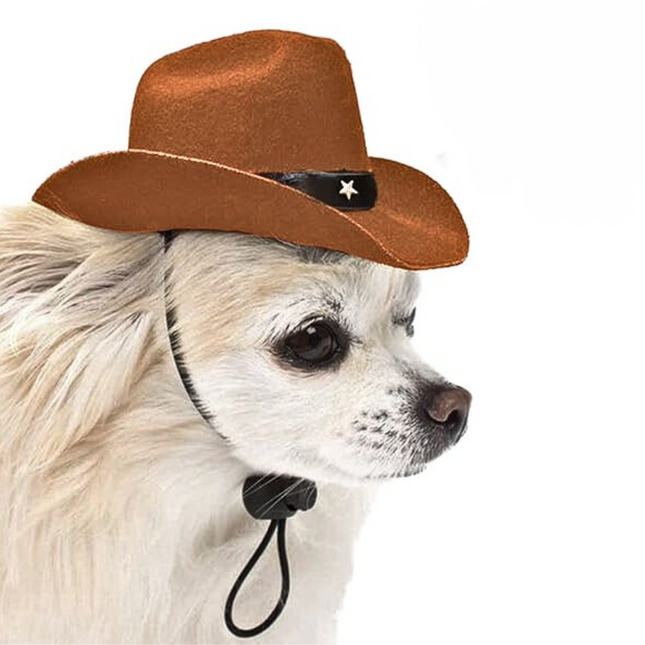 Cowboy Hat
