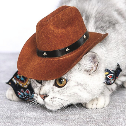 Cowboy Hat