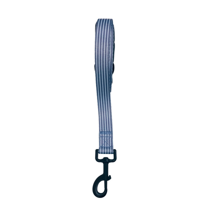 Pinstripe Grey Lead