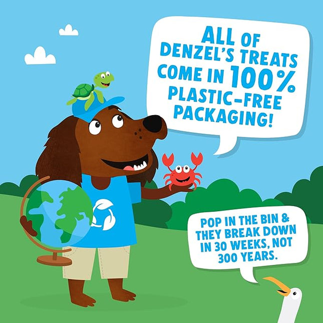 Denzel's Springtime Bites Lamb & Veg Dog Treats 100g