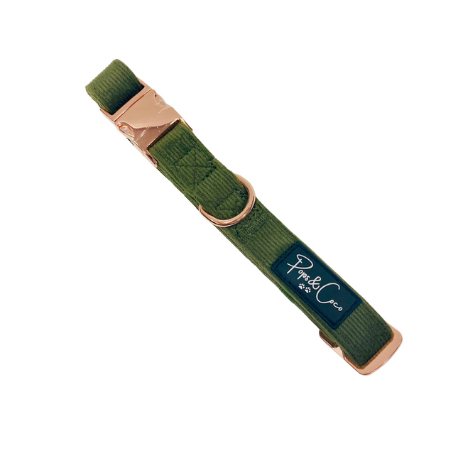 Luxury Corduroy Collar in Green