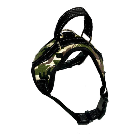 Easywalk Harness