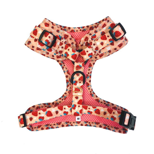 Strawberries & Cream Fully Adjustable Harness