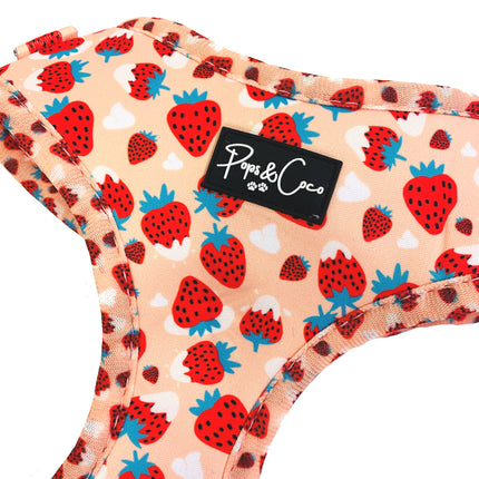 Strawberries & Cream Fully Adjustable Harness