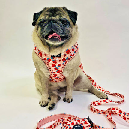 Strawberries & Cream Fully Adjustable Harness