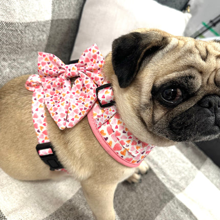 That's Amore Fully Adjustable Harness