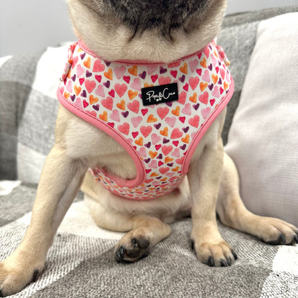 That's Amore Fully Adjustable Harness