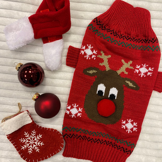 Reindeer Jumper