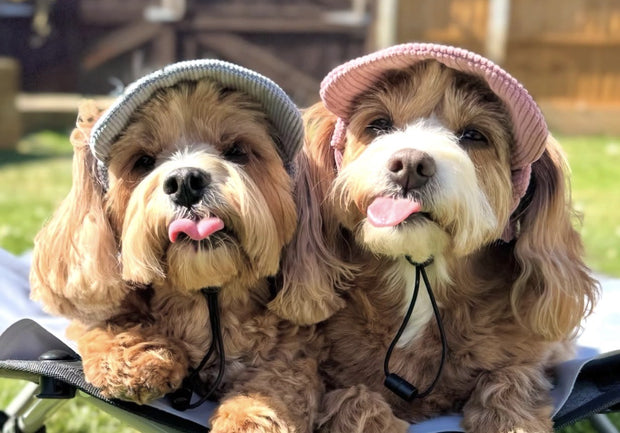 Keeping cool