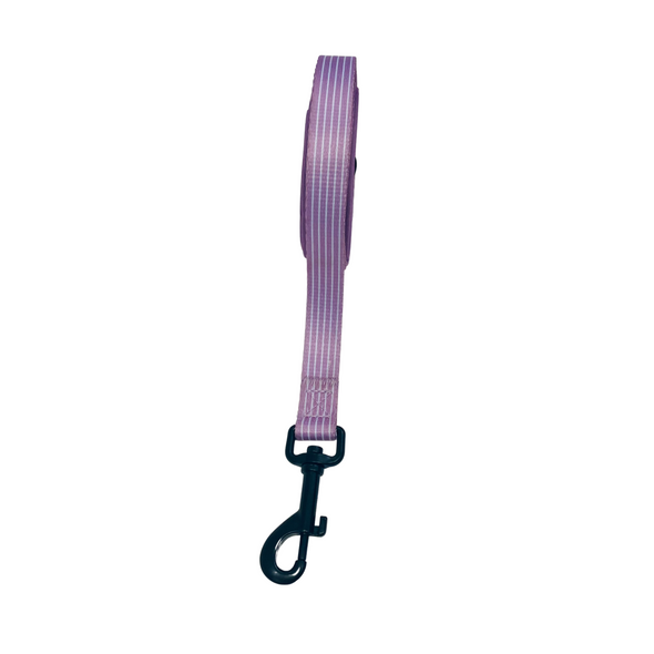Pinstripe Lilac Lead