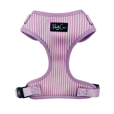 Pinstripe in Lilac Fully Adjustable Harness