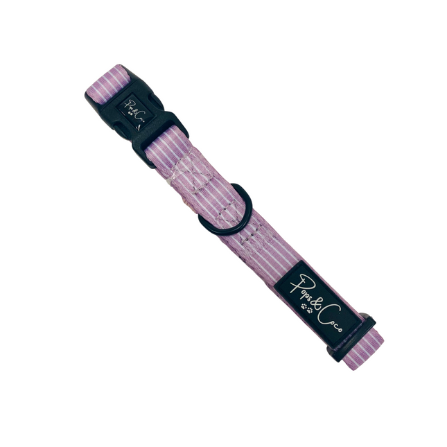 Pinstripe Lilac Collar