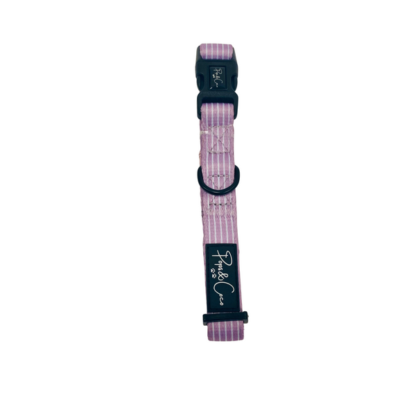 Pinstripe Lilac Collar