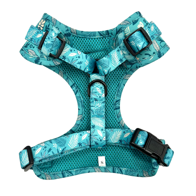 Rainforest Fully Adjustable Harness