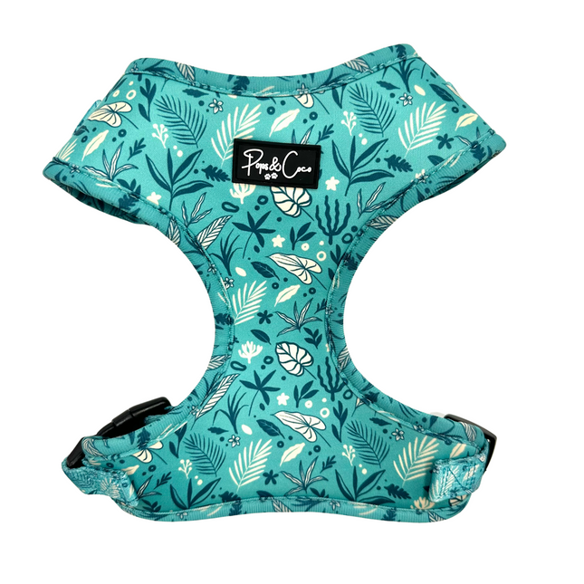 Rainforest Fully Adjustable Harness