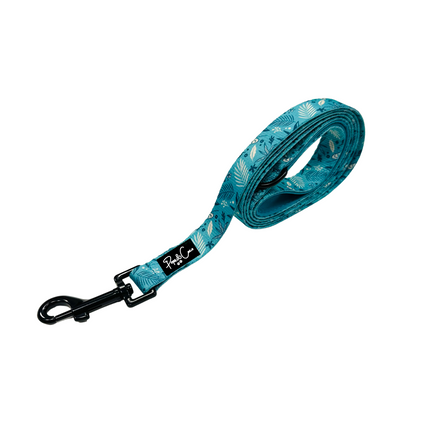 Rainforest Lead