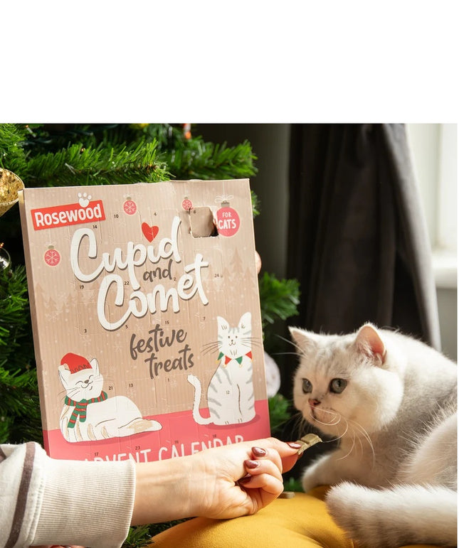 Rosewood Cupid & Comet Advent Calendar for Cats