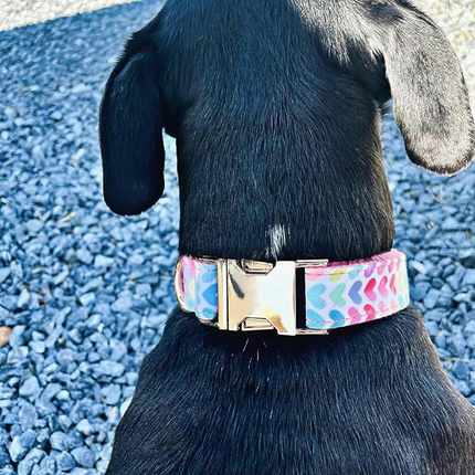All For Love Collar