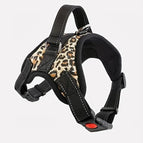 Animal Print / XS